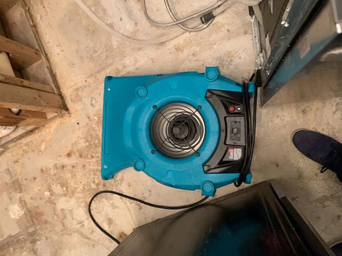 Air mover drying equipment for Mold Remediation & Removal in Hutto